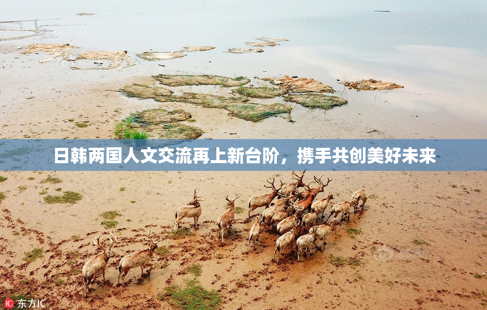 日韩两国人文交流再上新台阶，携手共创美好未来