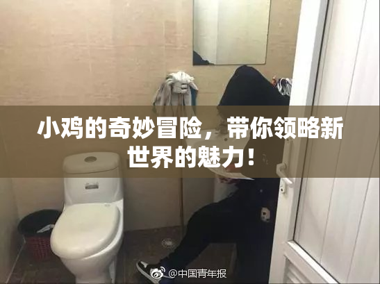 小鸡的奇妙冒险，带你领略新世界的魅力！