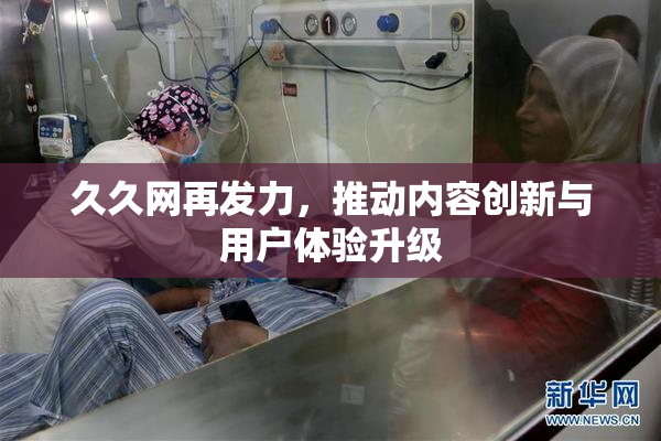 久久网再发力，推动内容创新与用户体验升级
