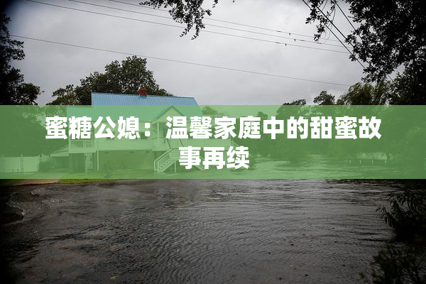 蜜糖公媳：温馨家庭中的甜蜜故事再续