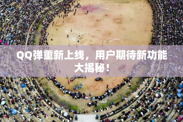 QQ弹重新上线，用户期待新功能大揭秘！