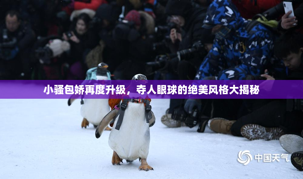 小骚包娇再度升级，夺人眼球的绝美风格大揭秘