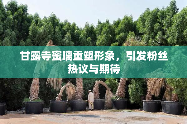 甘露寺蜜璃重塑形象，引发粉丝热议与期待