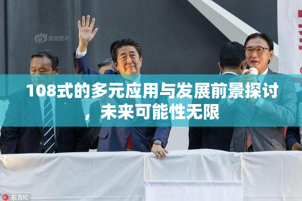 108式的多元应用与发展前景探讨，未来可能性无限