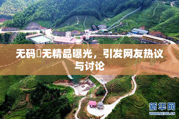 无码囯无精品曝光，引发网友热议与讨论