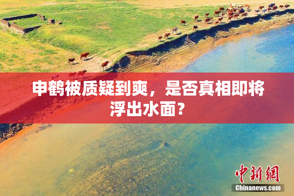 申鹤被质疑到爽，是否真相即将浮出水面？