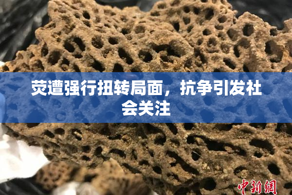 荧遭强行扭转局面，抗争引发社会关注