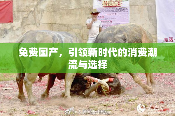 免费国产，引领新时代的消费潮流与选择