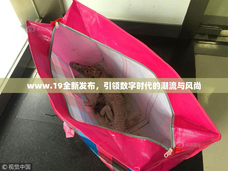 www.19全新发布，引领数字时代的潮流与风尚