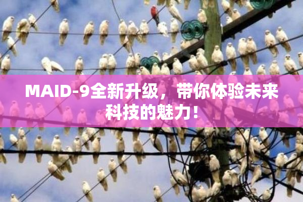 MAID-9全新升级，带你体验未来科技的魅力！