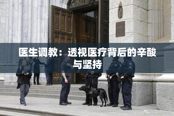 医生调教：透视医疗背后的辛酸与坚持
