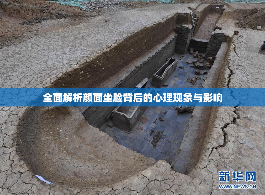全面解析颜面坐脸背后的心理现象与影响