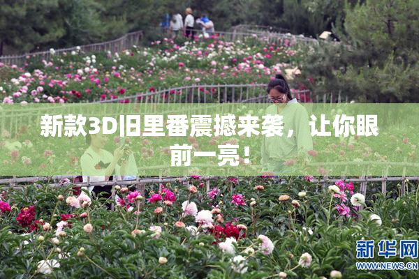 新款3D旧里番震撼来袭，让你眼前一亮！