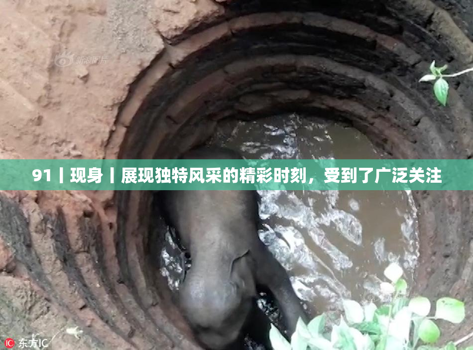 91丨现身丨展现独特风采的精彩时刻，受到了广泛关注