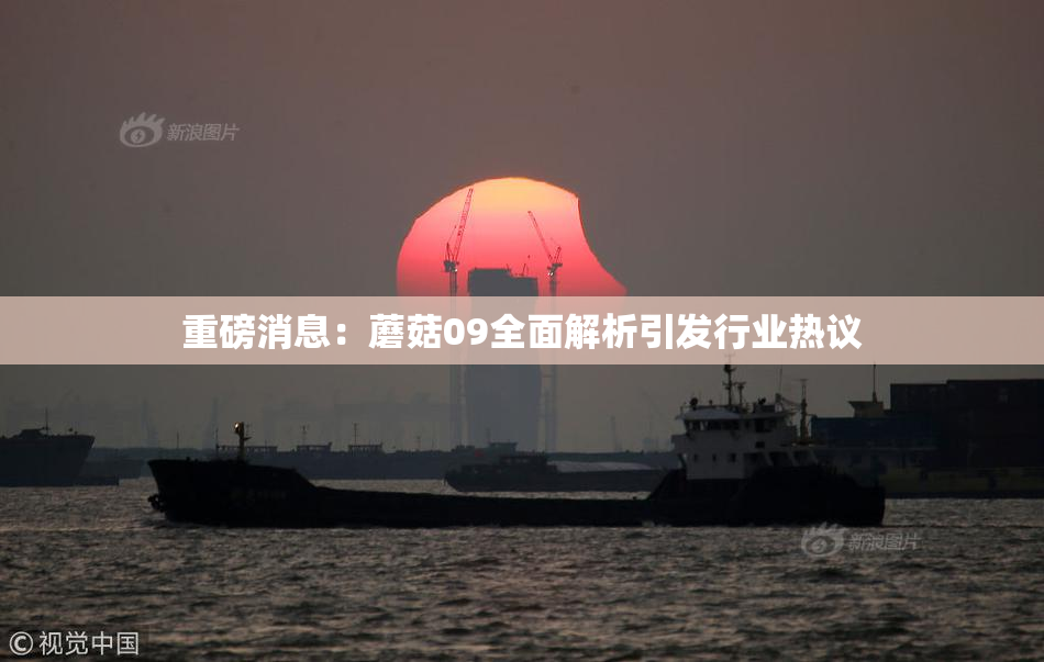 重磅消息：蘑菇09全面解析引发行业热议
