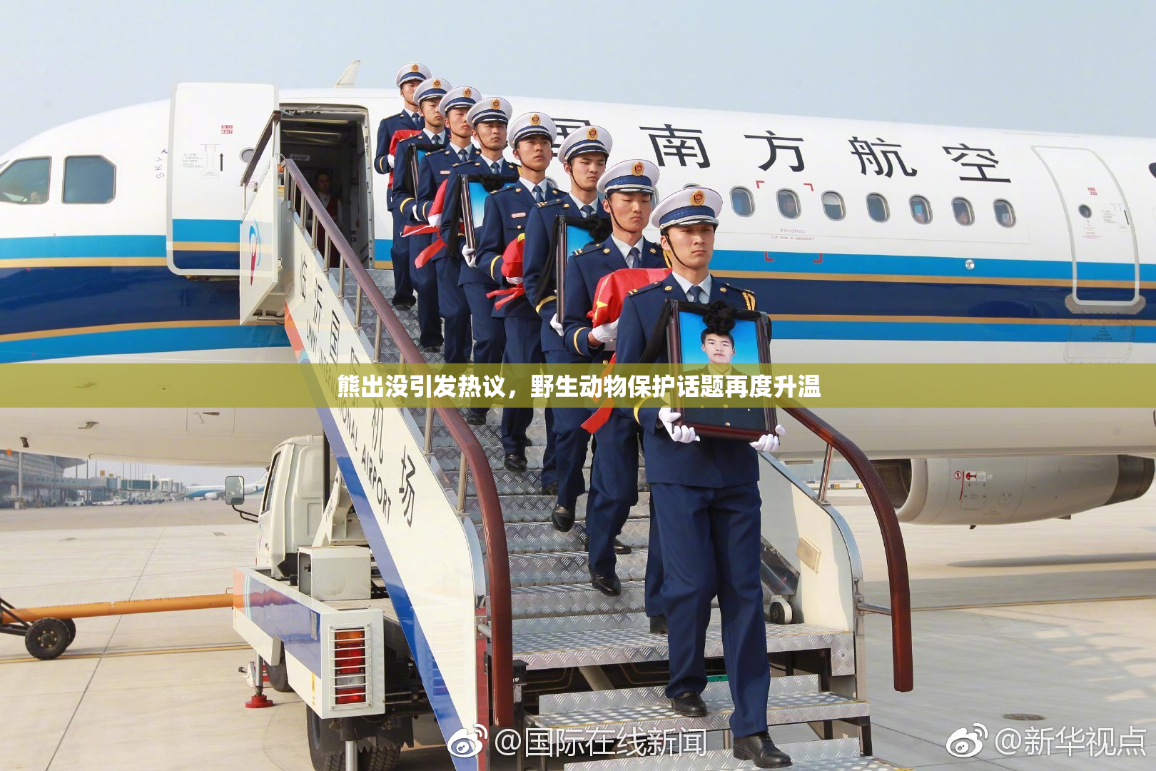 熊出没引发热议，野生动物保护话题再度升温