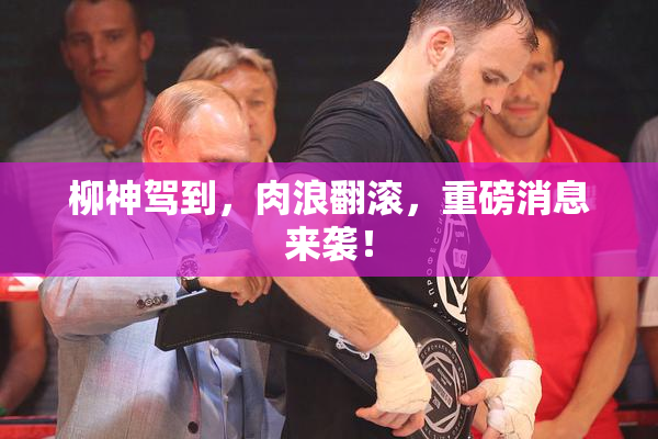柳神驾到，肉浪翻滚，重磅消息来袭！
