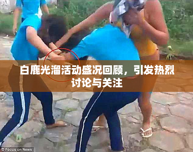 白鹿光溜活动盛况回顾，引发热烈讨论与关注