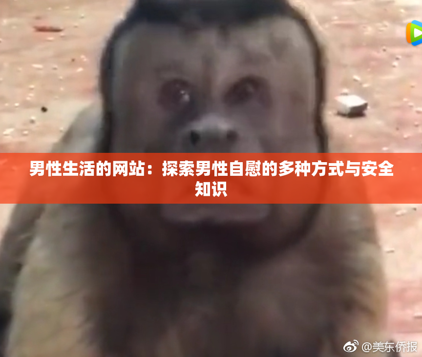男性生活的网站：探索男性自慰的多种方式与安全知识