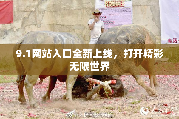 9.1网站入口全新上线，打开精彩无限世界
