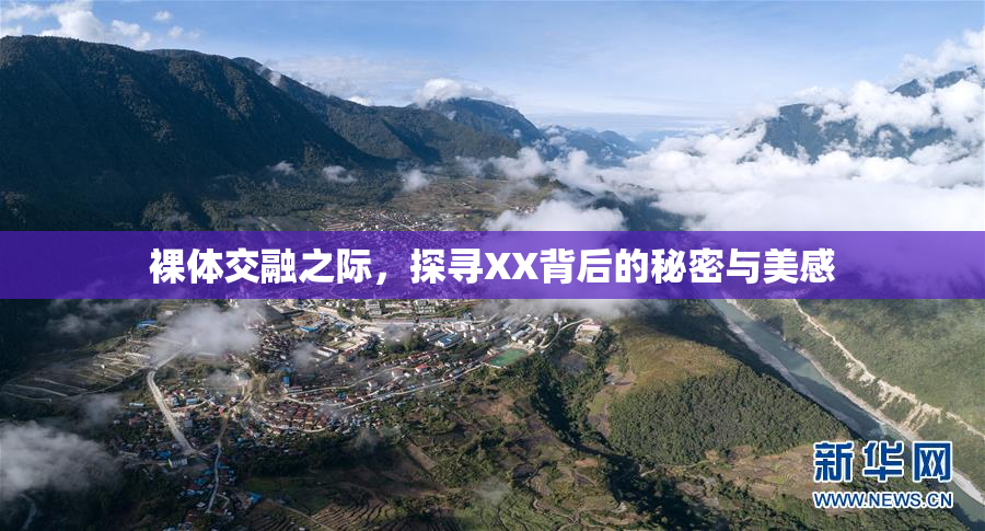 裸体交融之际，探寻XX背后的秘密与美感