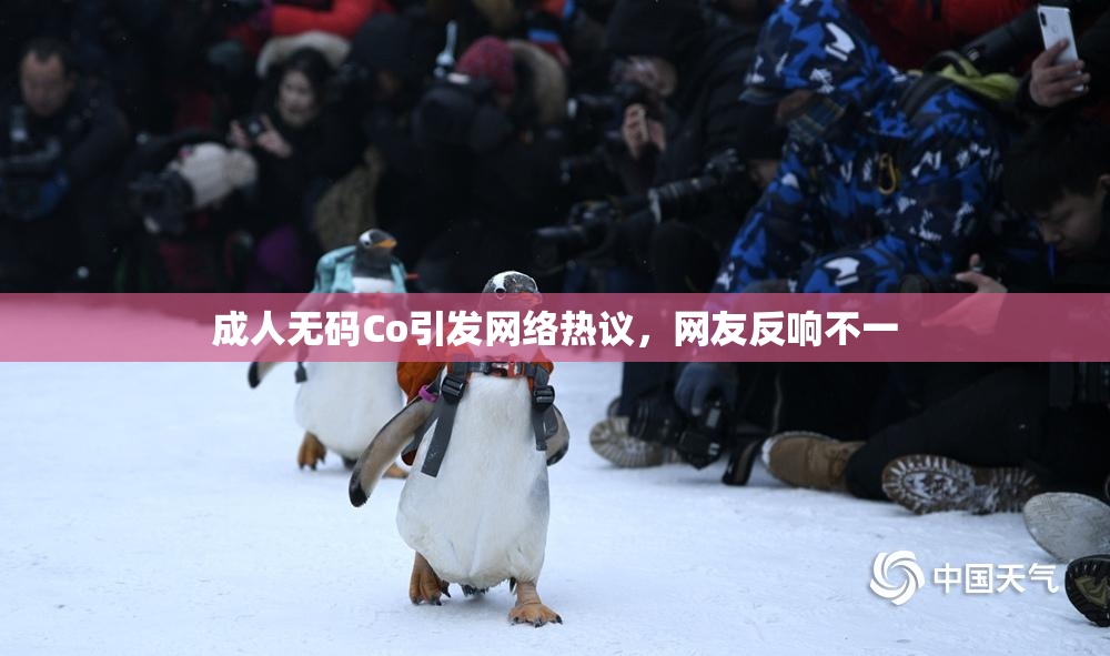 成人无码Co引发网络热议，网友反响不一