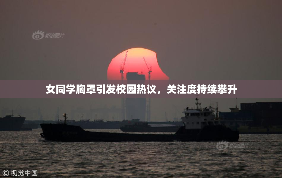 女同学胸罩引发校园热议，关注度持续攀升