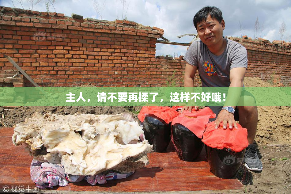 主人，请不要再揉了，这样不好哦！