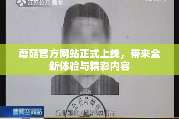 蘑菇官方网站正式上线，带来全新体验与精彩内容