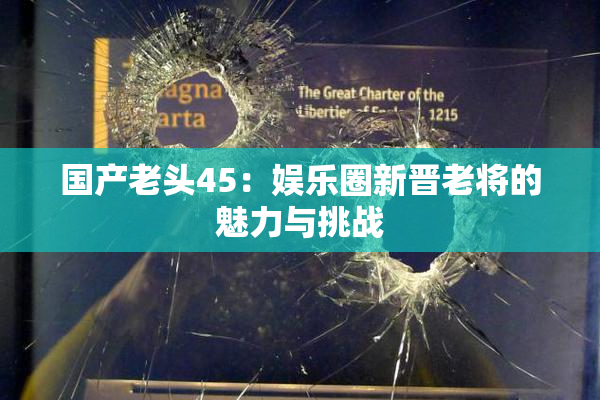 国产老头45：娱乐圈新晋老将的魅力与挑战