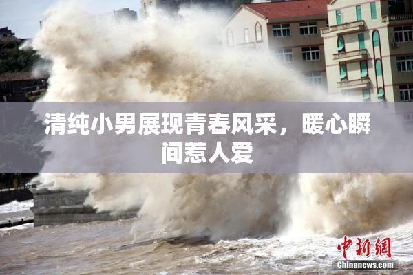 清纯小男展现青春风采，暖心瞬间惹人爱