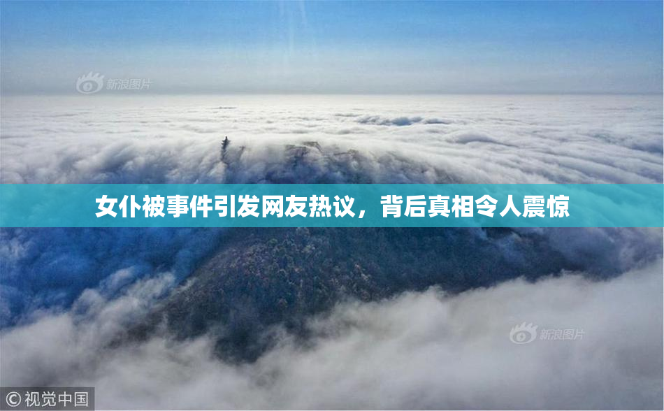 女仆被事件引发网友热议，背后真相令人震惊