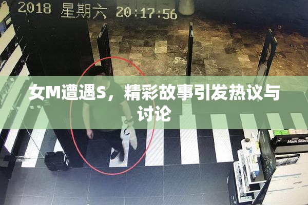 女M遭遇S，精彩故事引发热议与讨论