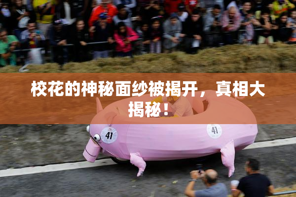 校花的神秘面纱被揭开，真相大揭秘！
