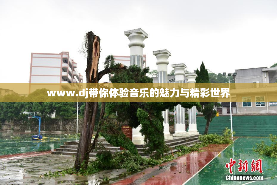 www.dj带你体验音乐的魅力与精彩世界