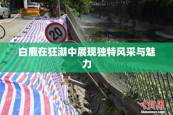 白鹿在狂潮中展现独特风采与魅力