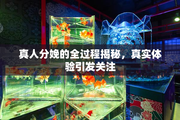 真人分娩的全过程揭秘，真实体验引发关注