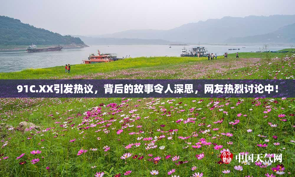 91C.XX引发热议，背后的故事令人深思，网友热烈讨论中！
