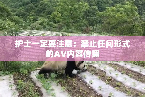 护士一定要注意：禁止任何形式的AV内容传播