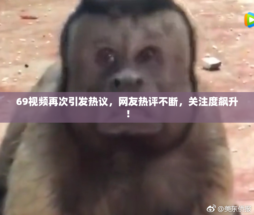 69视频再次引发热议，网友热评不断，关注度飙升！