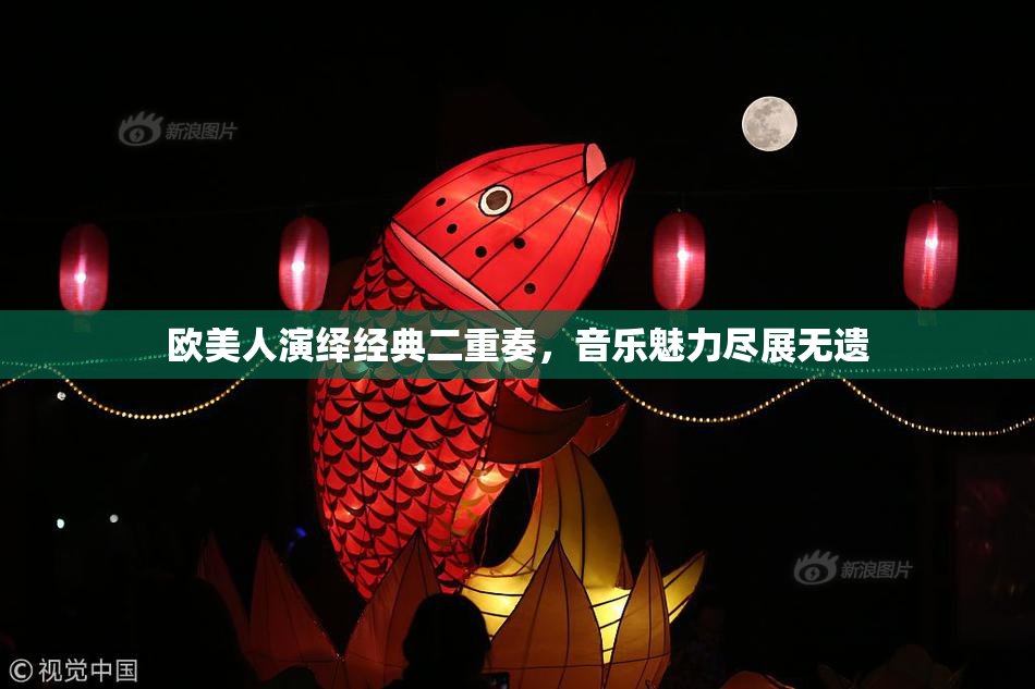 欧美人演绎经典二重奏，音乐魅力尽展无遗