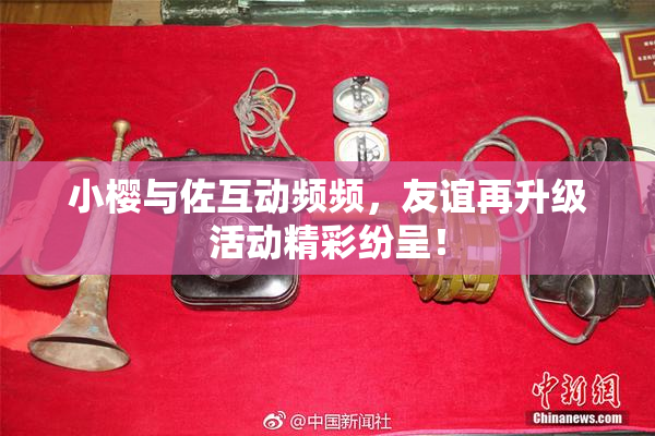 小樱与佐互动频频，友谊再升级活动精彩纷呈！
