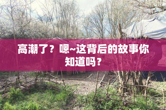 高潮了？嗯~这背后的故事你知道吗？