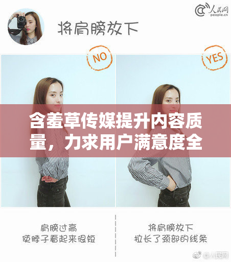 含羞草传媒提升内容质量，力求用户满意度全面提升