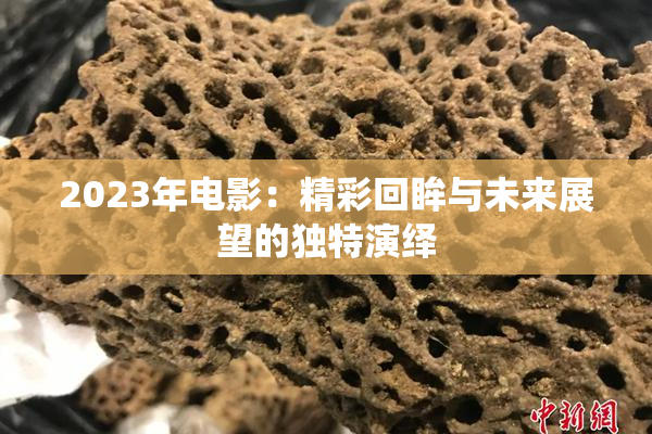 2023年电影：精彩回眸与未来展望的独特演绎