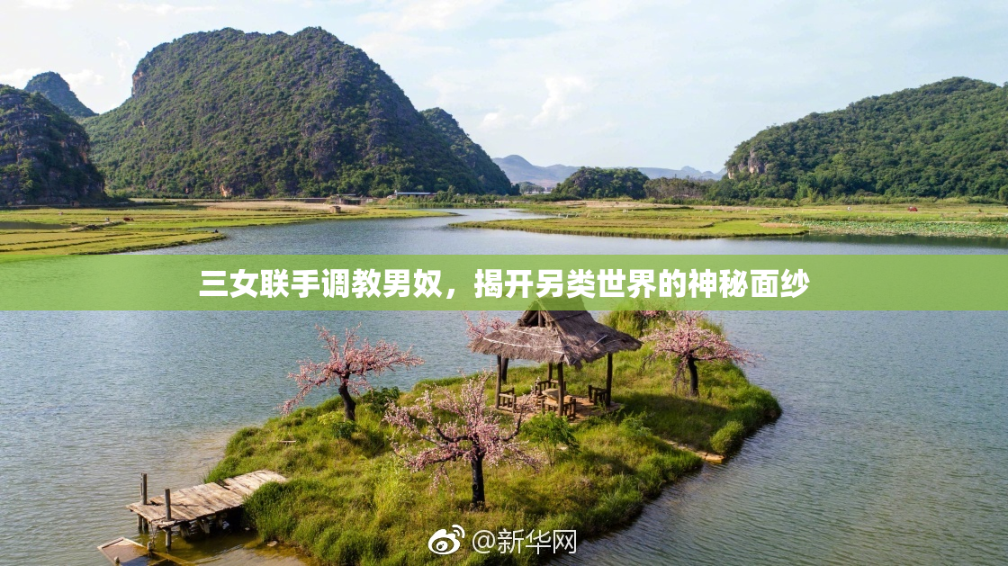三女联手调教男奴，揭开另类世界的神秘面纱