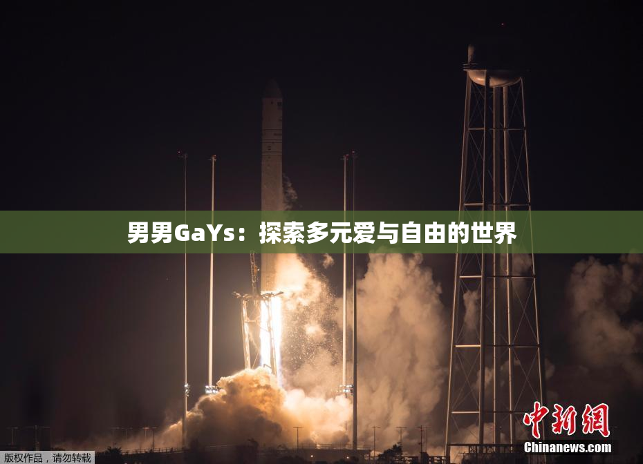 男男GaYs：探索多元爱与自由的世界