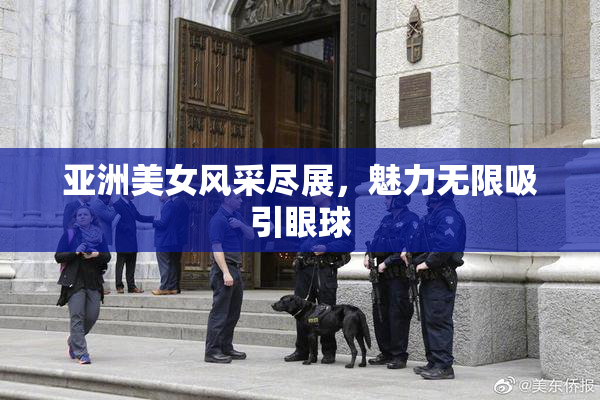 亚洲美女风采尽展，魅力无限吸引眼球