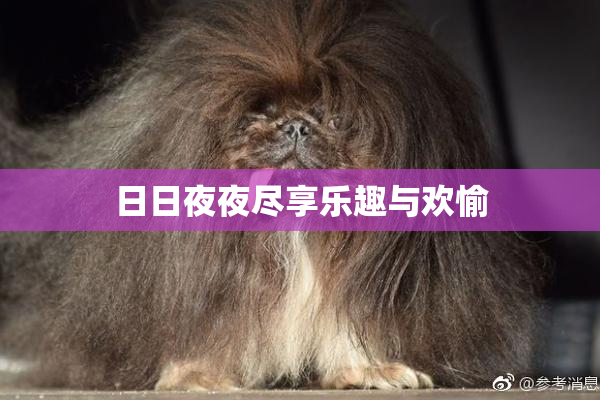 日日夜夜尽享乐趣与欢愉