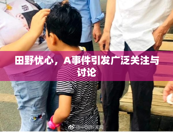 田野忧心，A事件引发广泛关注与讨论